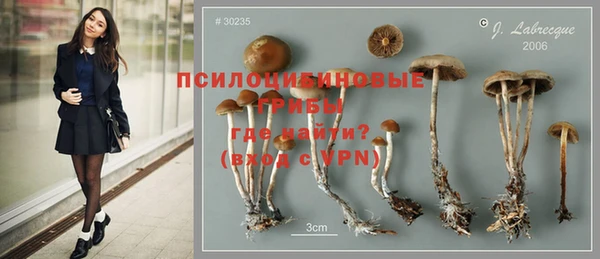 прущие крисы Зеленокумск