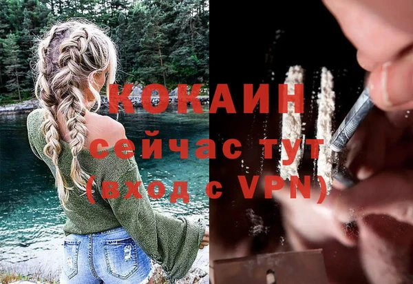 прущие крисы Зеленокумск