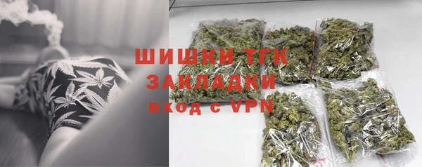 apvp Инта
