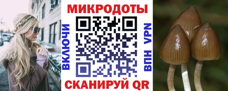Псилоцибиновые грибы прущие грибы  Купить  Людиново 